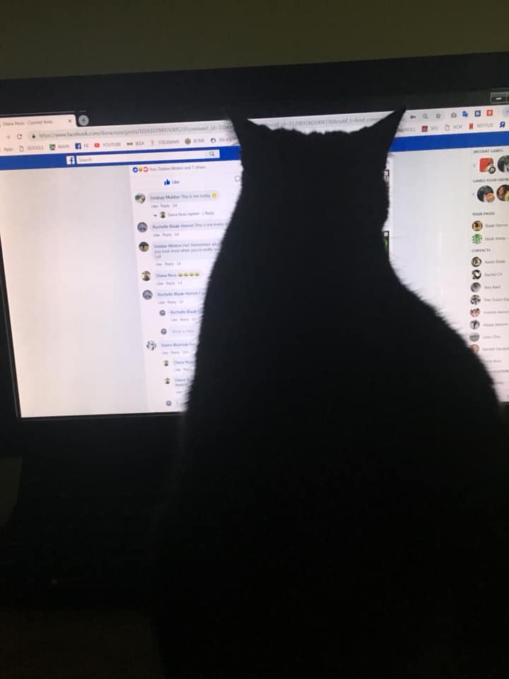 44387815_10160891583455585_2046070686933319680_n